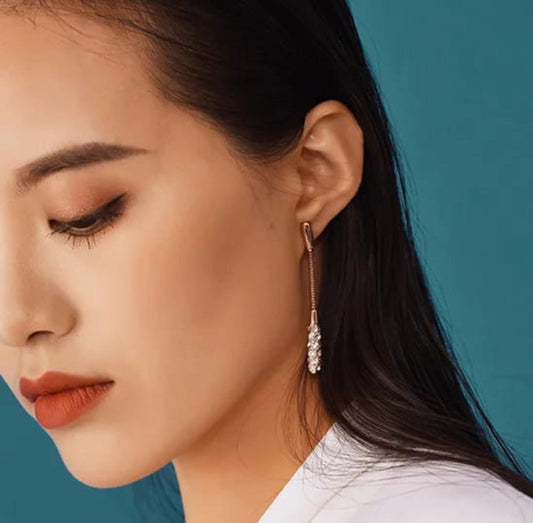 Long Drop Earings